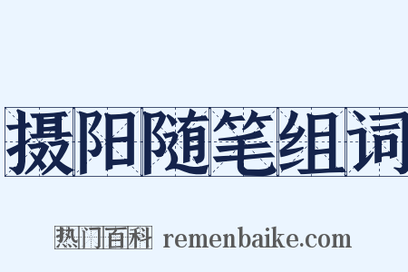 摄阳随笔组词是什么意思的图片